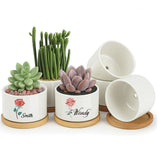 Custom Cute Succulent Planter, Flower Cactus Pot Going Away Farewell Gift