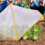Plant Insulation Tent for Cold Protection, Transparent PE Cover with Reinforced Edges, Foldable Weatherproof Shield for Vegetable Fruit Garden Against Rain Wind Frost