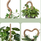 Moss Pole for Climbing Indoor Plants – Trellis Stake Support for Monstera & Potted Houseplants