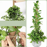 Moss Pole for Climbing Indoor Plants – Trellis Stake Support for Monstera & Potted Houseplants