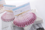 Natural Beach Wedding Shell Place Card Holders (Pack of 10)