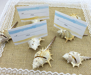 Natural Shell Conch Place Card Photo Holder Beach Wedding